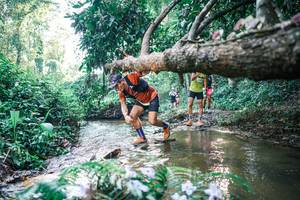 BIB: 
                            <button type="button" onclick="openModal(25435995)" class="btn btn-primary btn-sm float-right btn-popup" data-toggle="modal" data-target=".modal-high-quality">
                        <i class="fas fa-shopping-cart"></i> Add to Cart
                    </button>
                                            <button type="button" onclick="isThisMe(25435995, true)" class="btn btn-success btn-sm float-right btn-popup btn-isme hidden" data-toggle="tooltip" data-placement="bottom" title="นี่คือรูปของคุณใช่ไหม คลิกที่นี่เพื่อเอาเข้าอัลบั้ม">
                        <i class="fas fa-plus"></i> Add to album
                    </button>
                    <button type="button" onclick="isThisMe(25435995, false)" class="btn btn-warning btn-sm float-right btn-popup btn-isnotme hidden">
                        <i class="fas fa-ban"></i> Remove from album
                    </button>